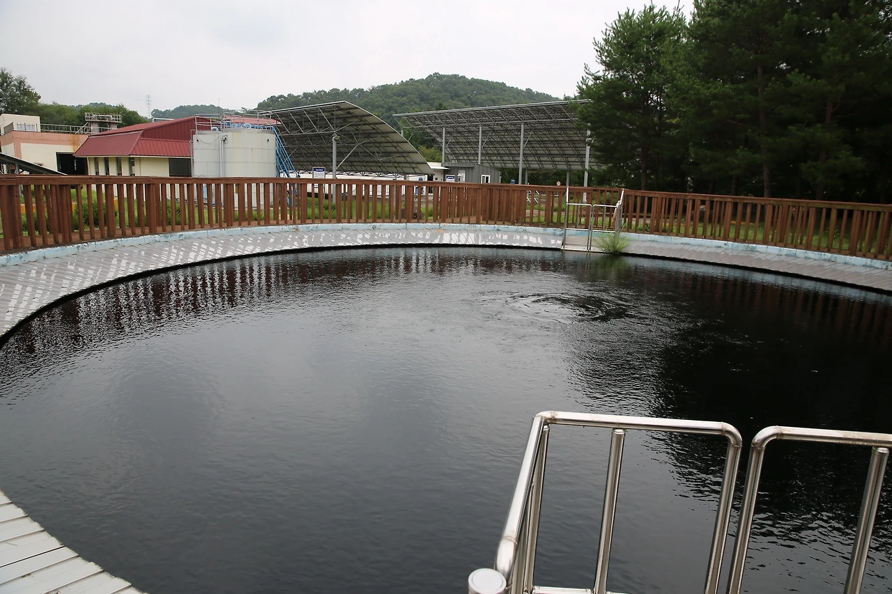 MG0A8377_новый размер.JPG