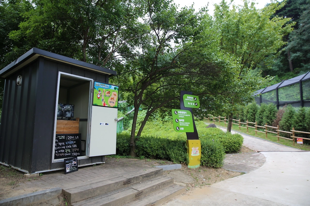 MG0A9625_новый размер.JPG