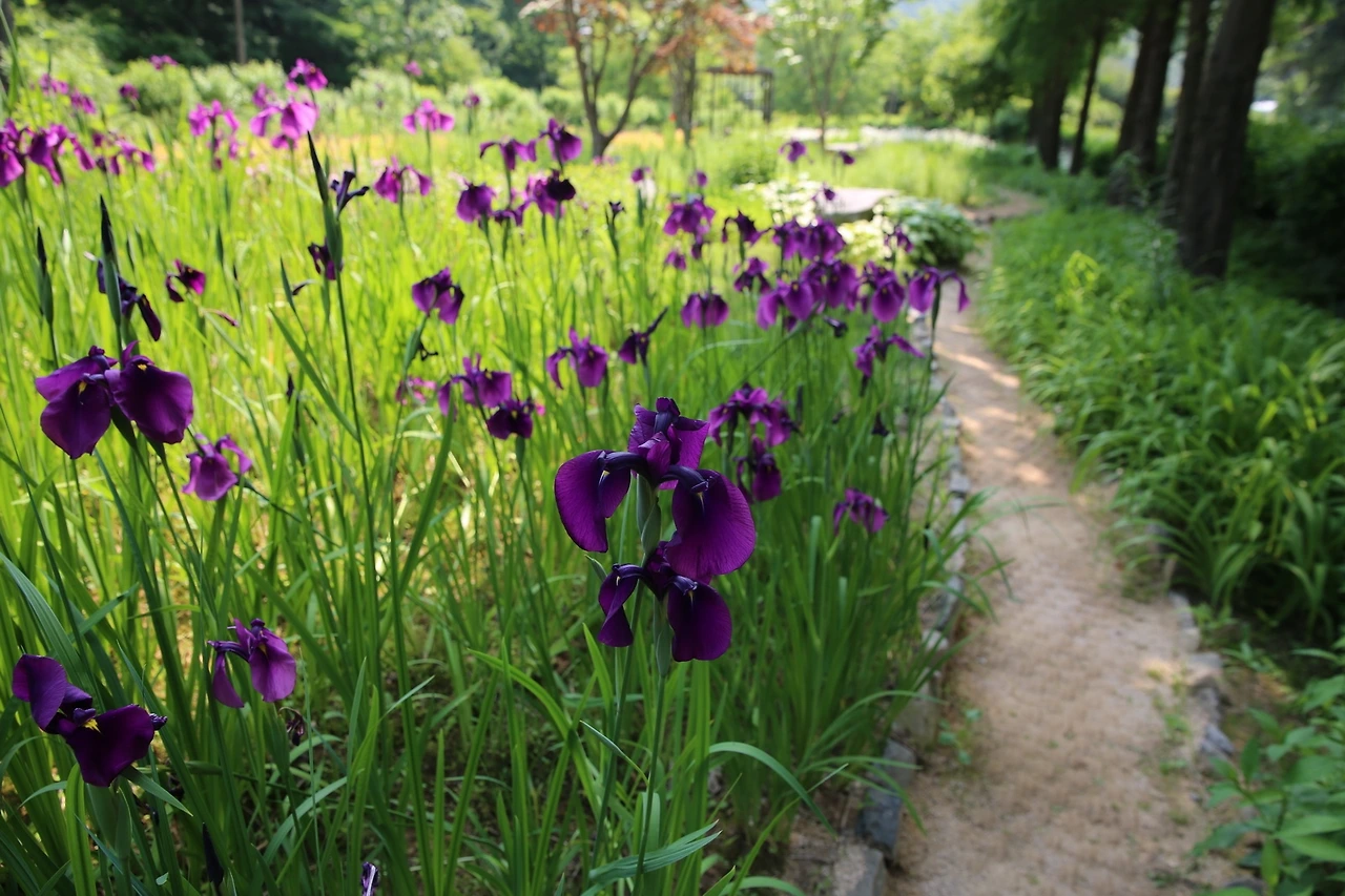 MG0A6362_новый размер.JPG