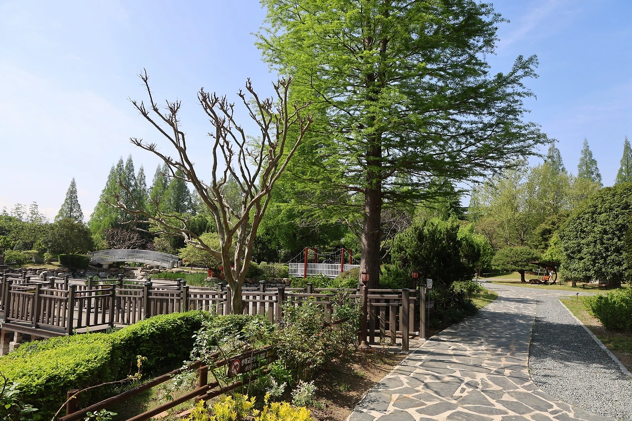 0R5A7850_новый размер.JPG