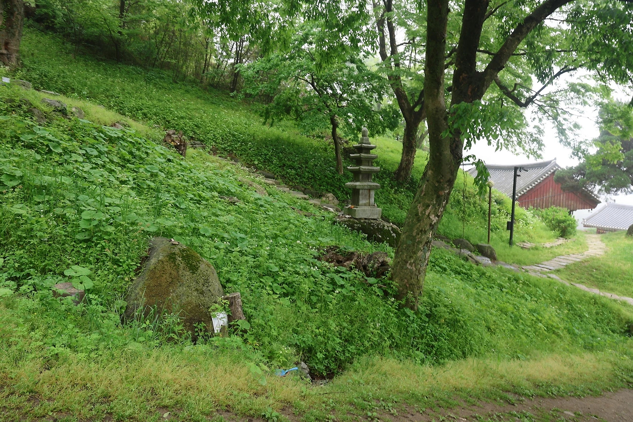 0R5A0796_новый размер.JPG