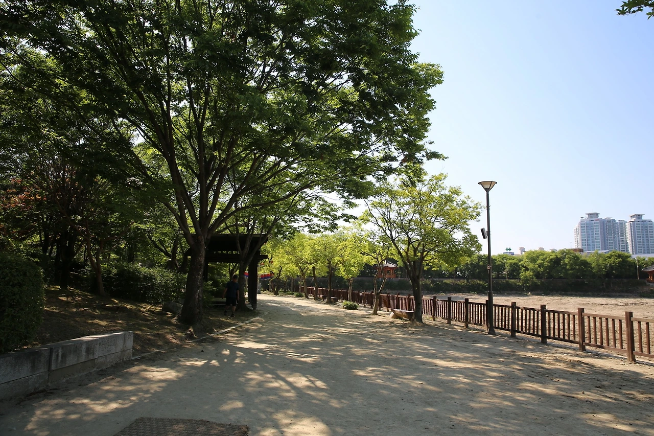 MG0A9001_новый размер.JPG