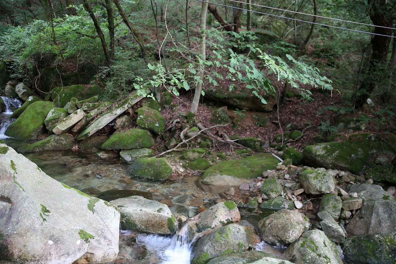 MG0A4565_новый размер.JPG