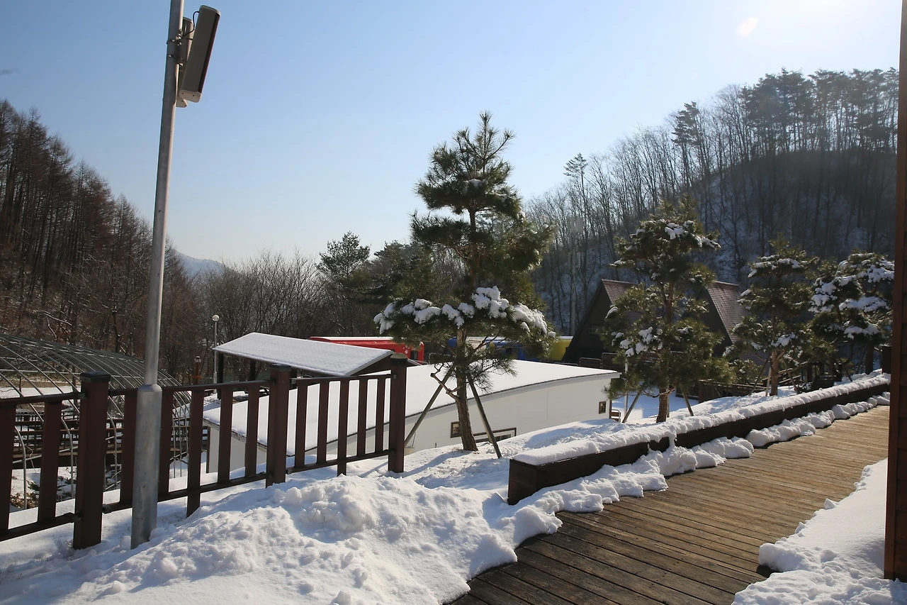 MG0A5035_новый размер.JPG