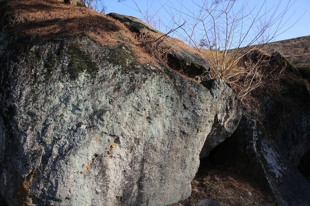 MG0A6051_новый размер.JPG