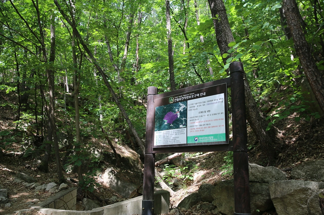 MG0A0722_новый размер.JPG