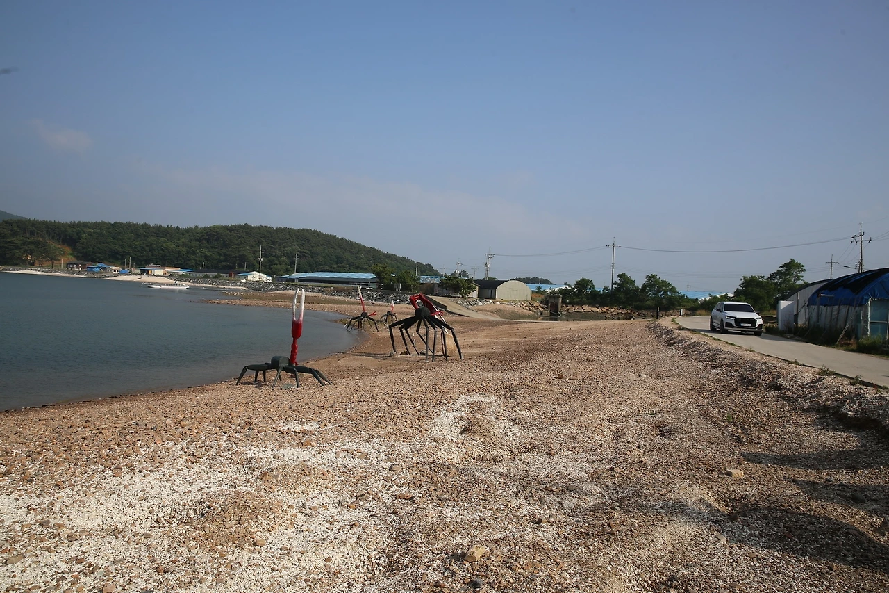 MG0A4043_новый размер.JPG