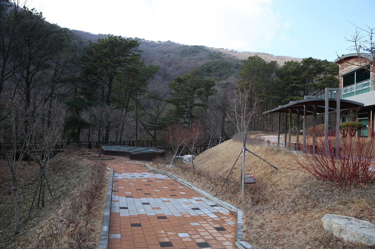 MG0A5549_новый размер.JPG