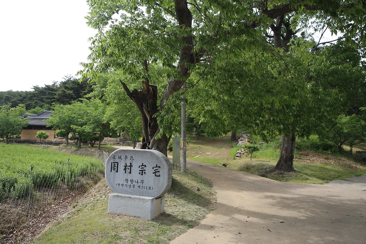 MG0A9635_новый размер.JPG