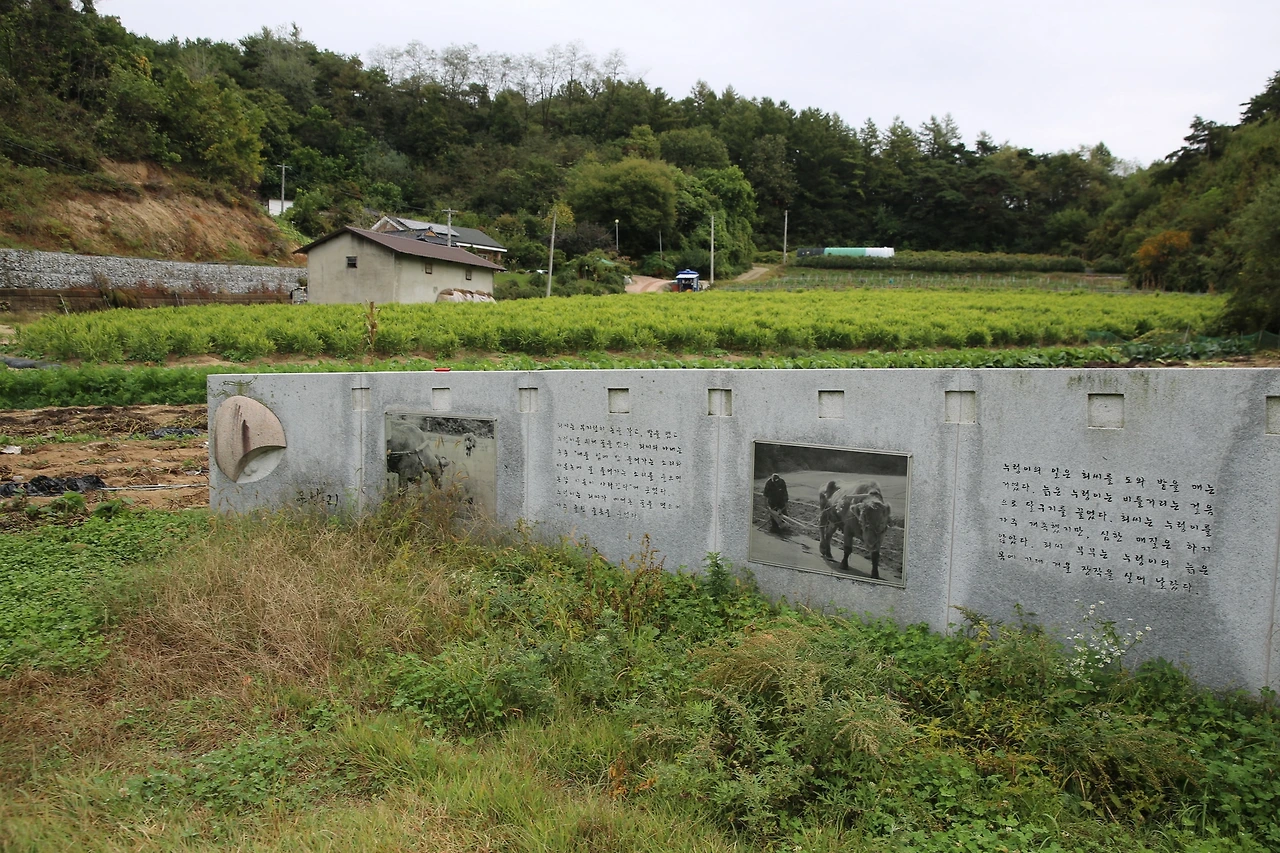 MG0A6392_новый размер.JPG