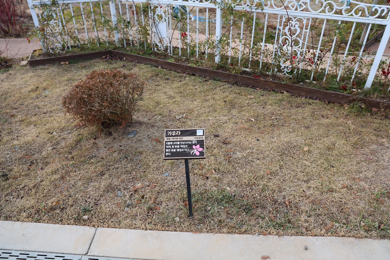 0R5A4998_новый размер.JPG