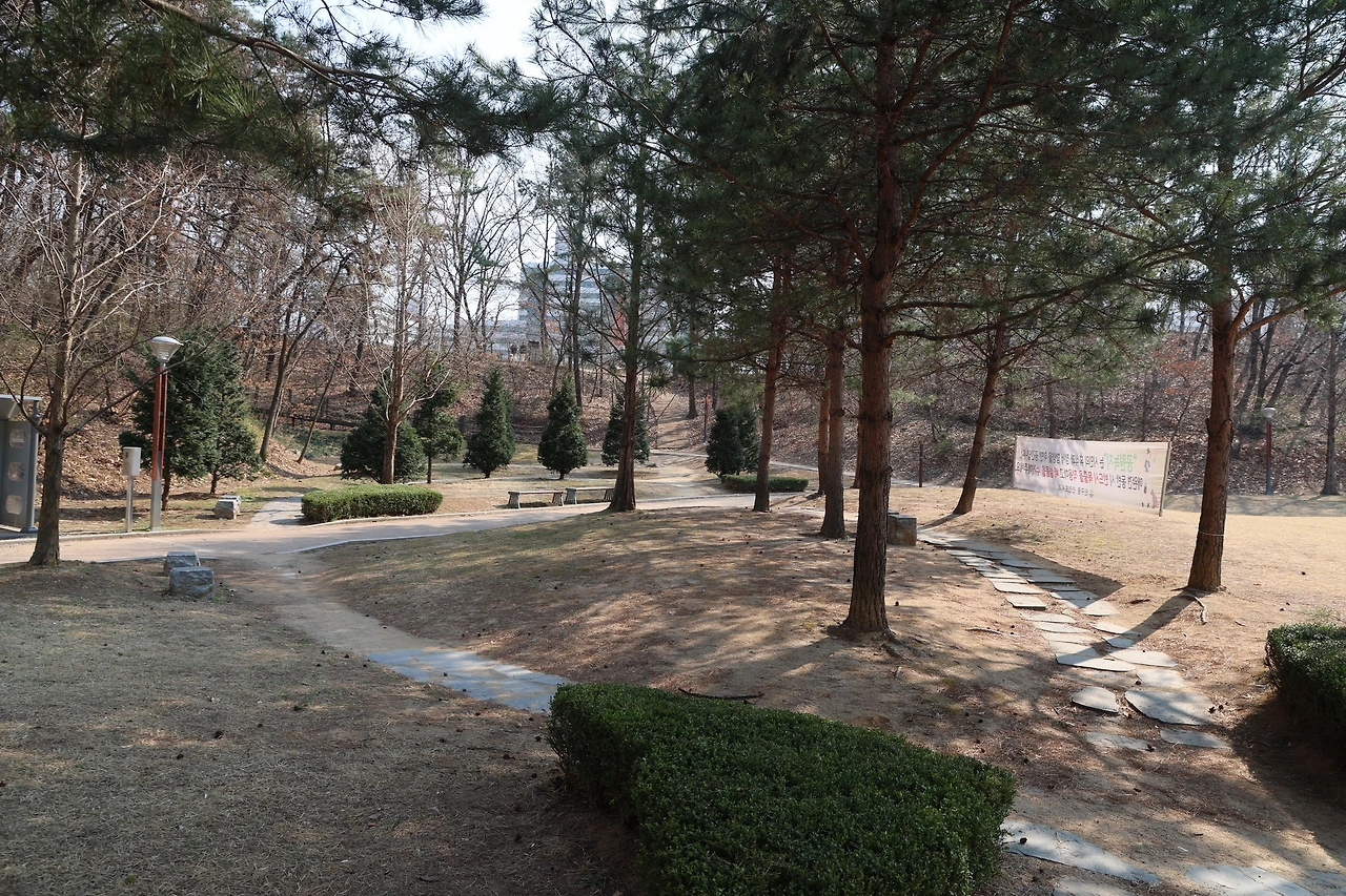 0R5A5514_новый размер.JPG