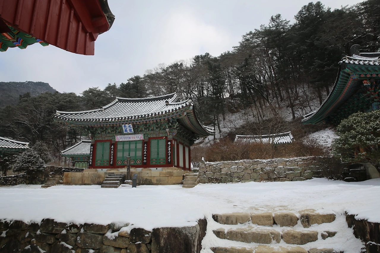 MG0A6342_новый размер.JPG