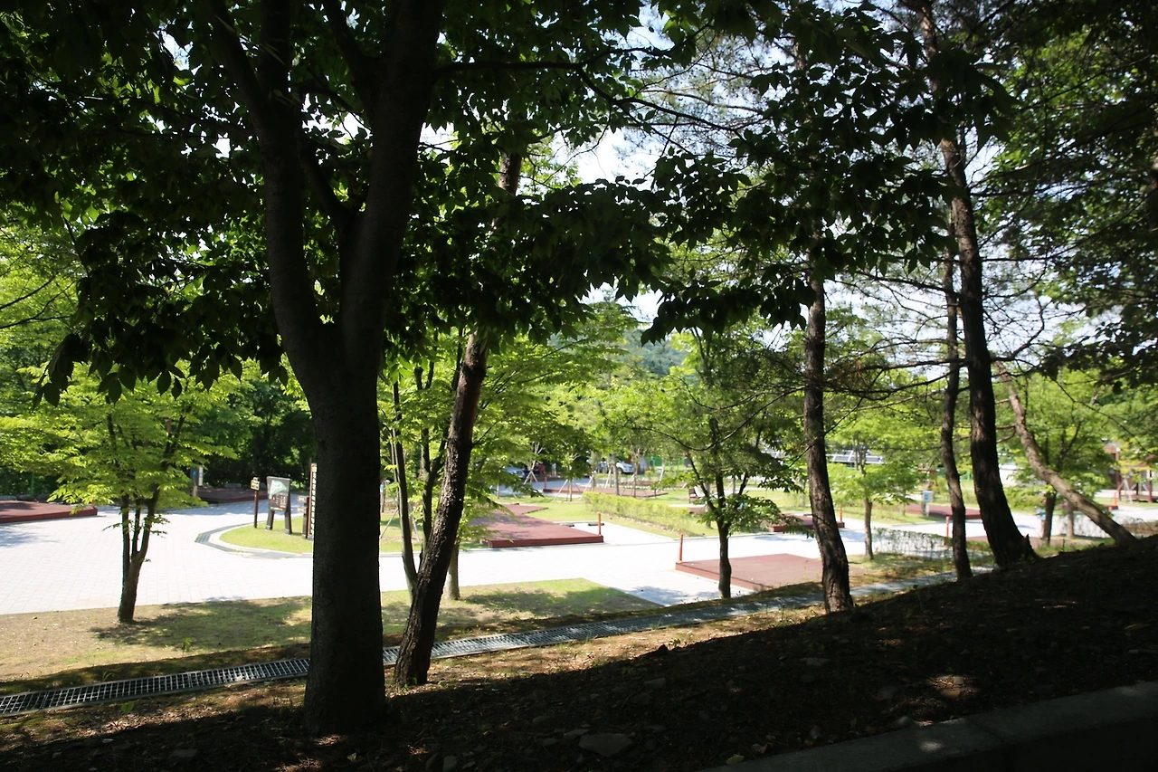 MG0A2187_новый размер.JPG