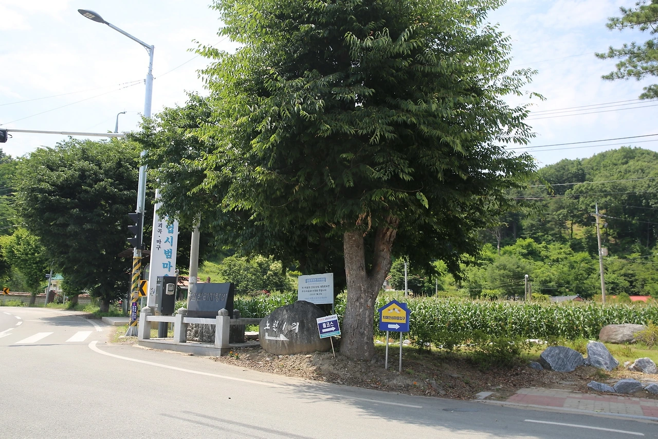 MG0A2156_новый размер.JPG