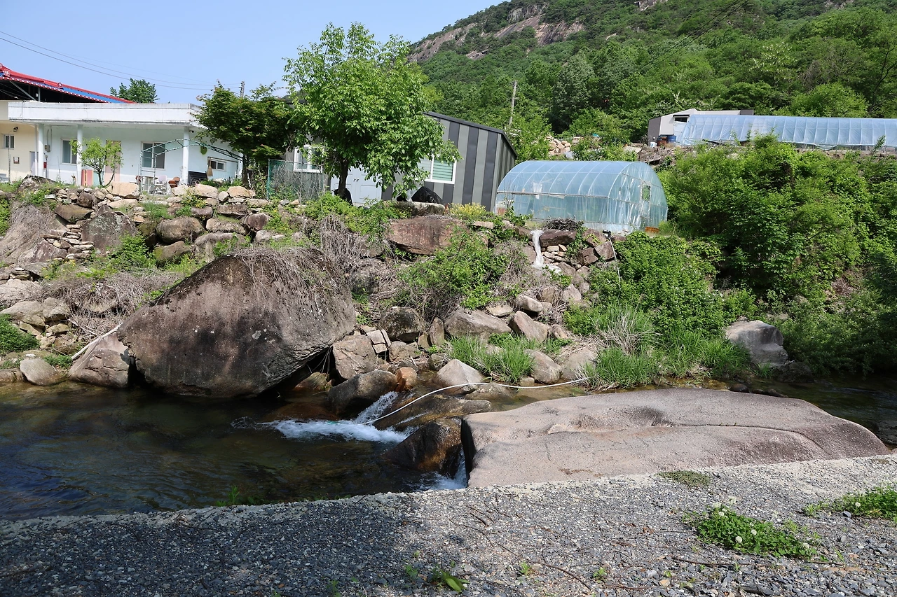 0R5A1336_новый размер.JPG