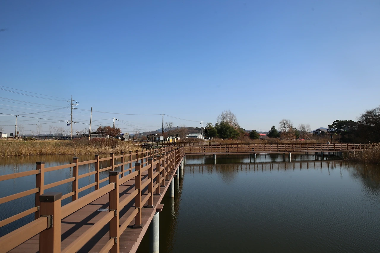 MG0A2710_новый размер.JPG