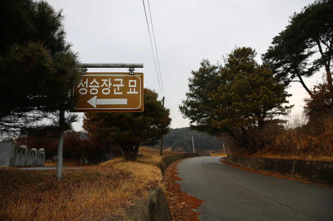 MG0A5955_новый размер.JPG