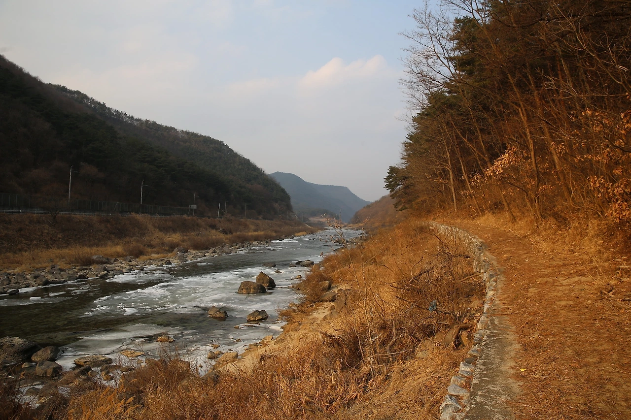 MG0A6453_новый размер.JPG