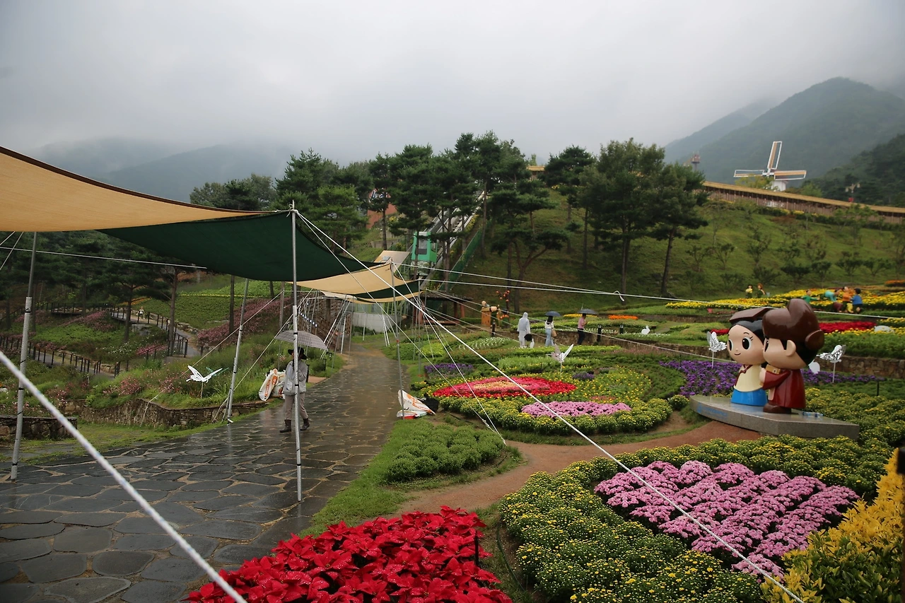 MG0A3043_новый размер.JPG