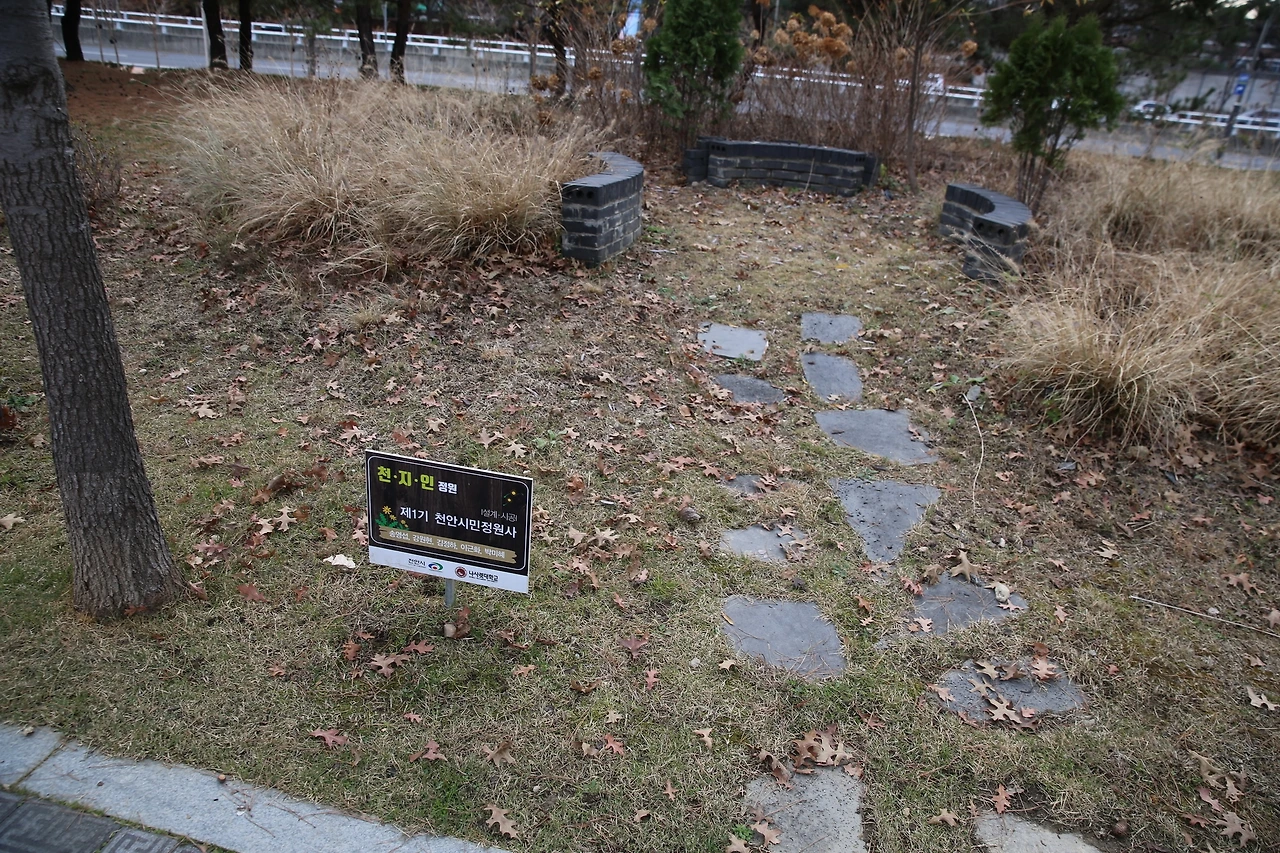 MG0A4455_новый размер.JPG