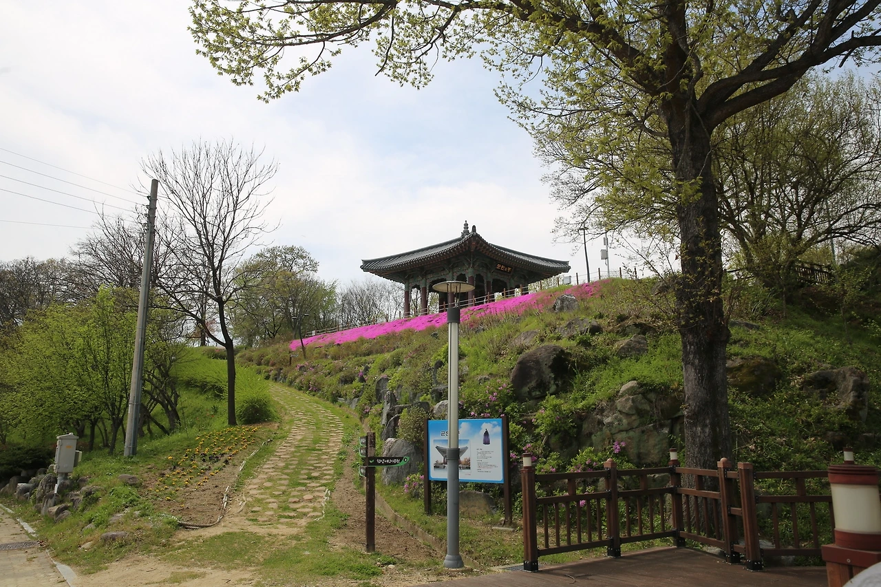 MG0A9128_новый размер.JPG