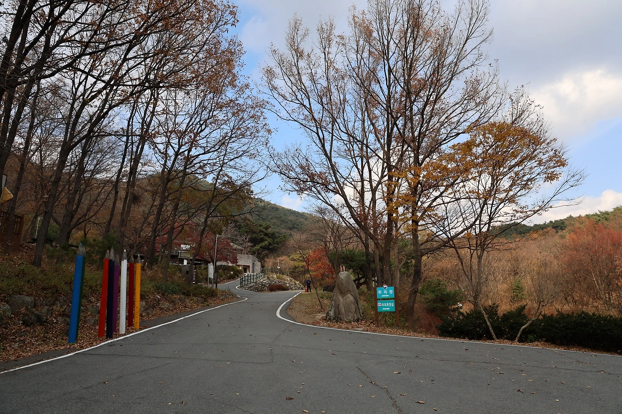 0R5A3108_новый размер.JPG