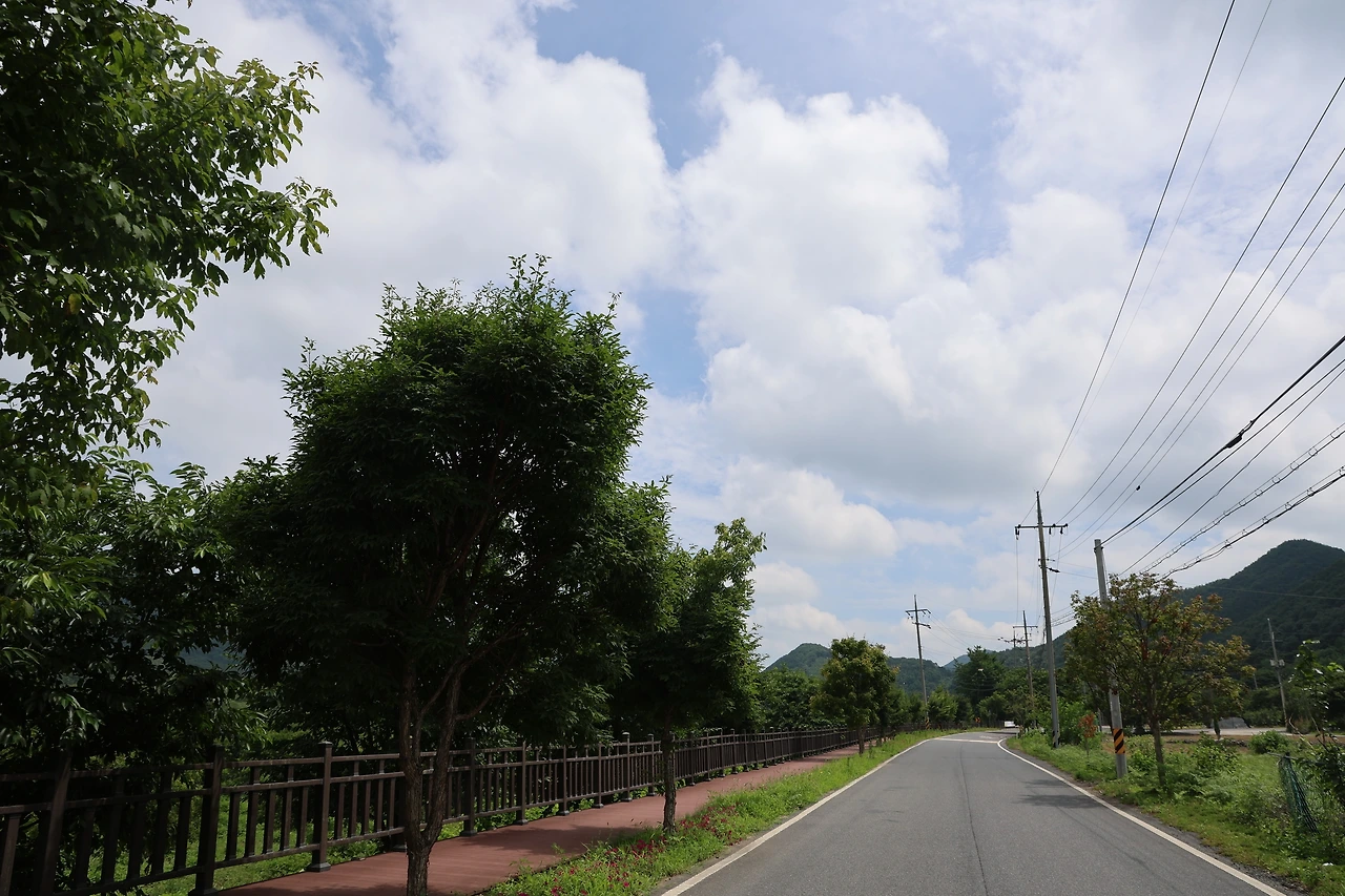 0R5A7721_новый размер.JPG