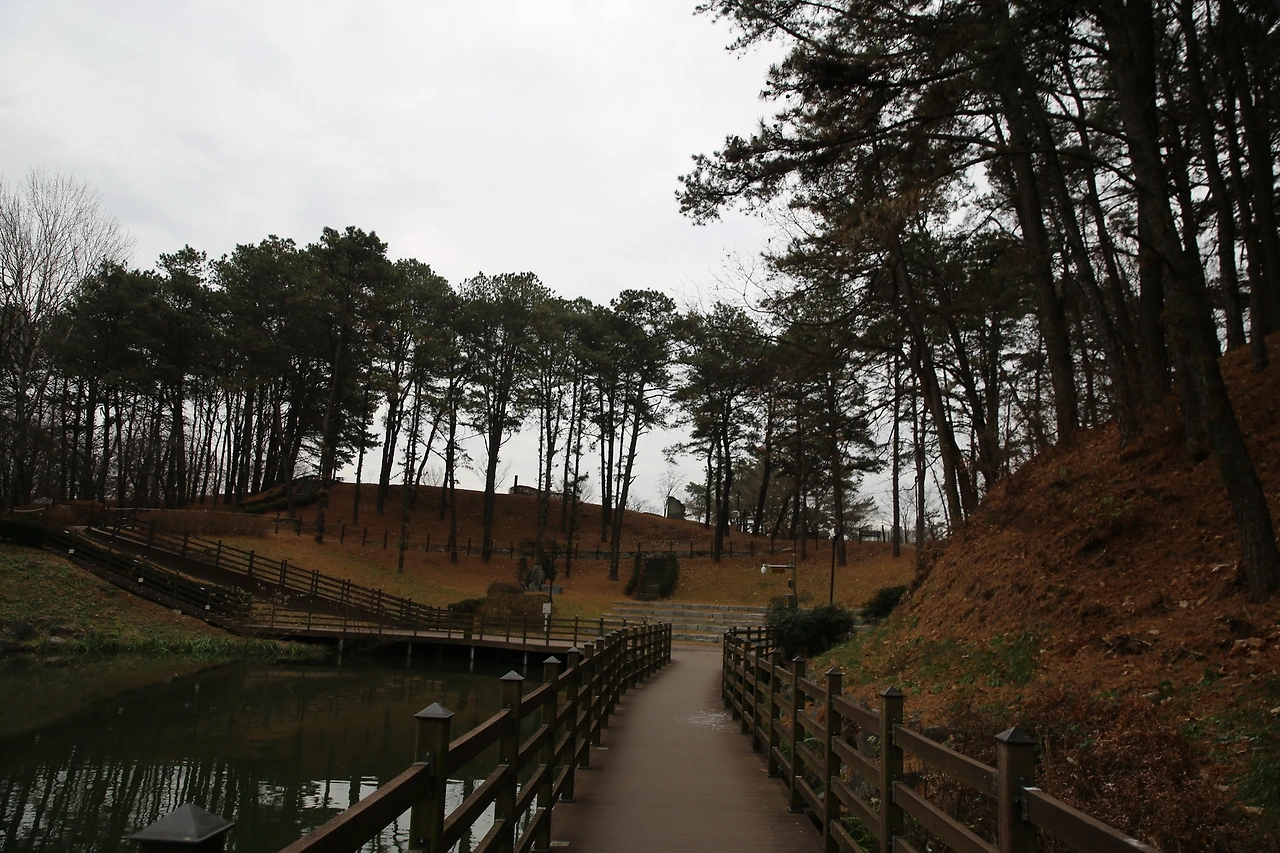 MG0A5378_новый размер.JPG