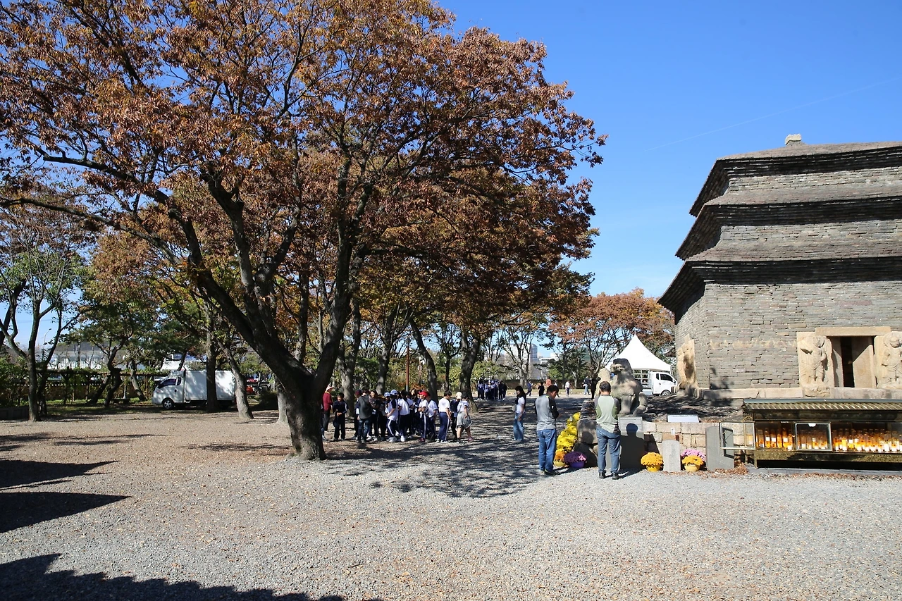 MG0A6768_новый размер.JPG