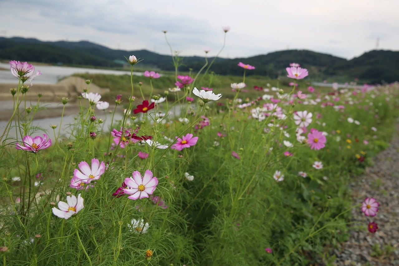 MG0A3490_новый размер.JPG