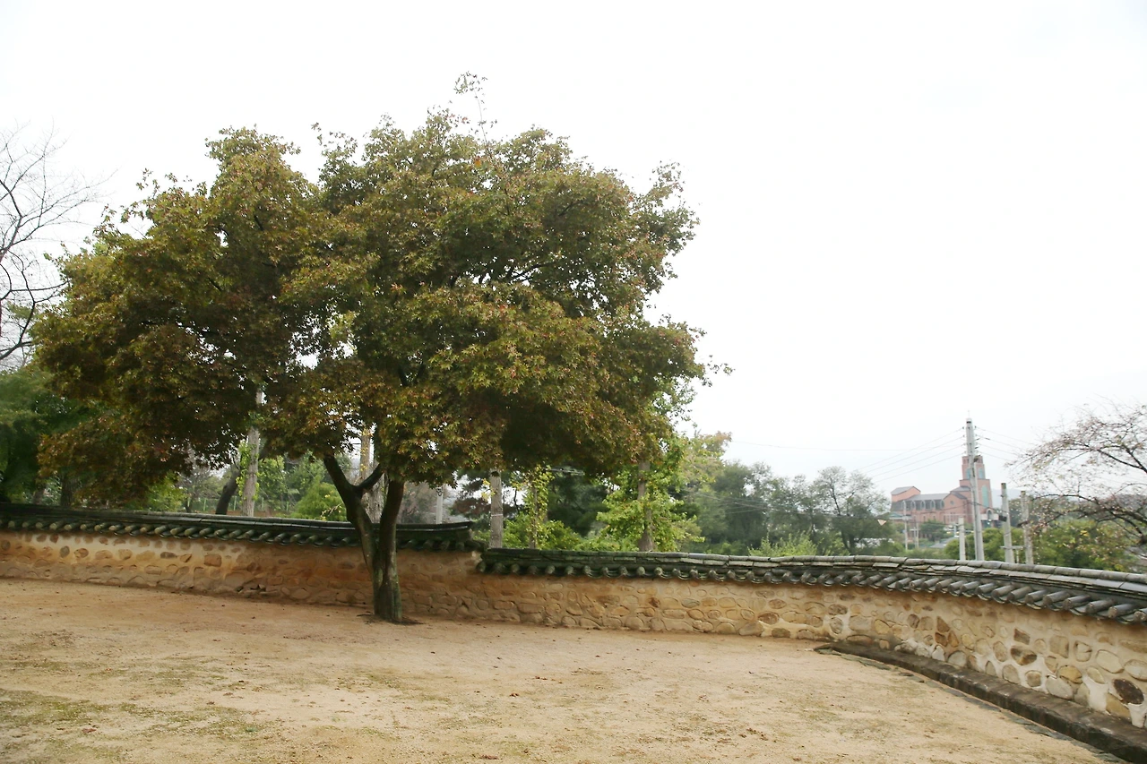 MG0A5103_новый размер_exposure.JPG