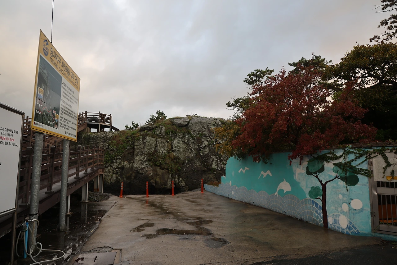 0R5A0747_новый размер.JPG