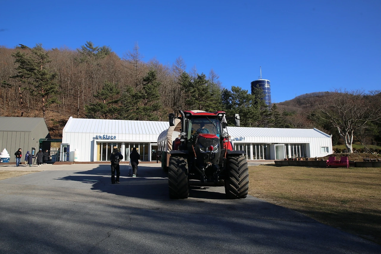 MG0A1721_новый размер.JPG