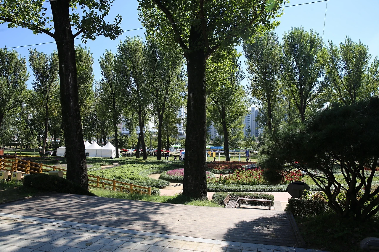 MG0A2310_новый размер.JPG