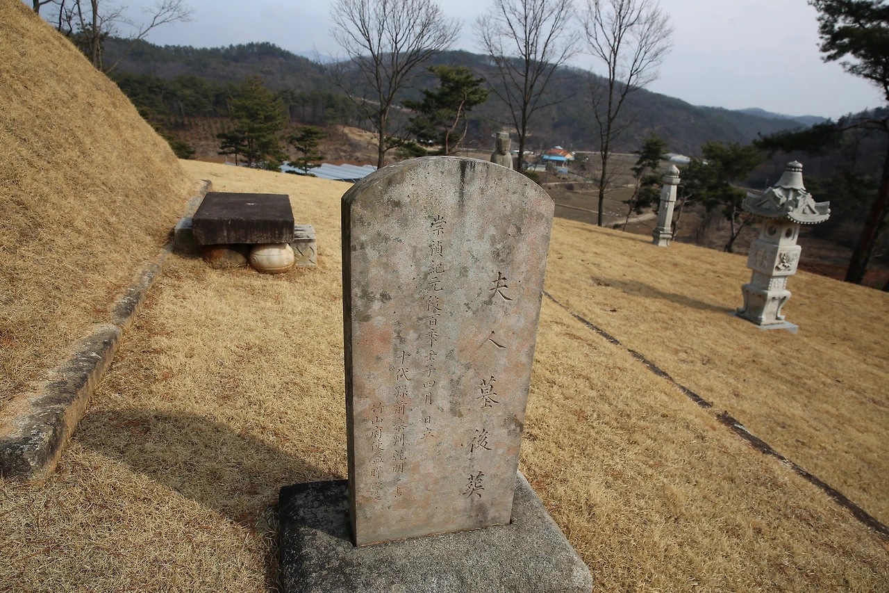 MG0A1520_новый размер.JPG