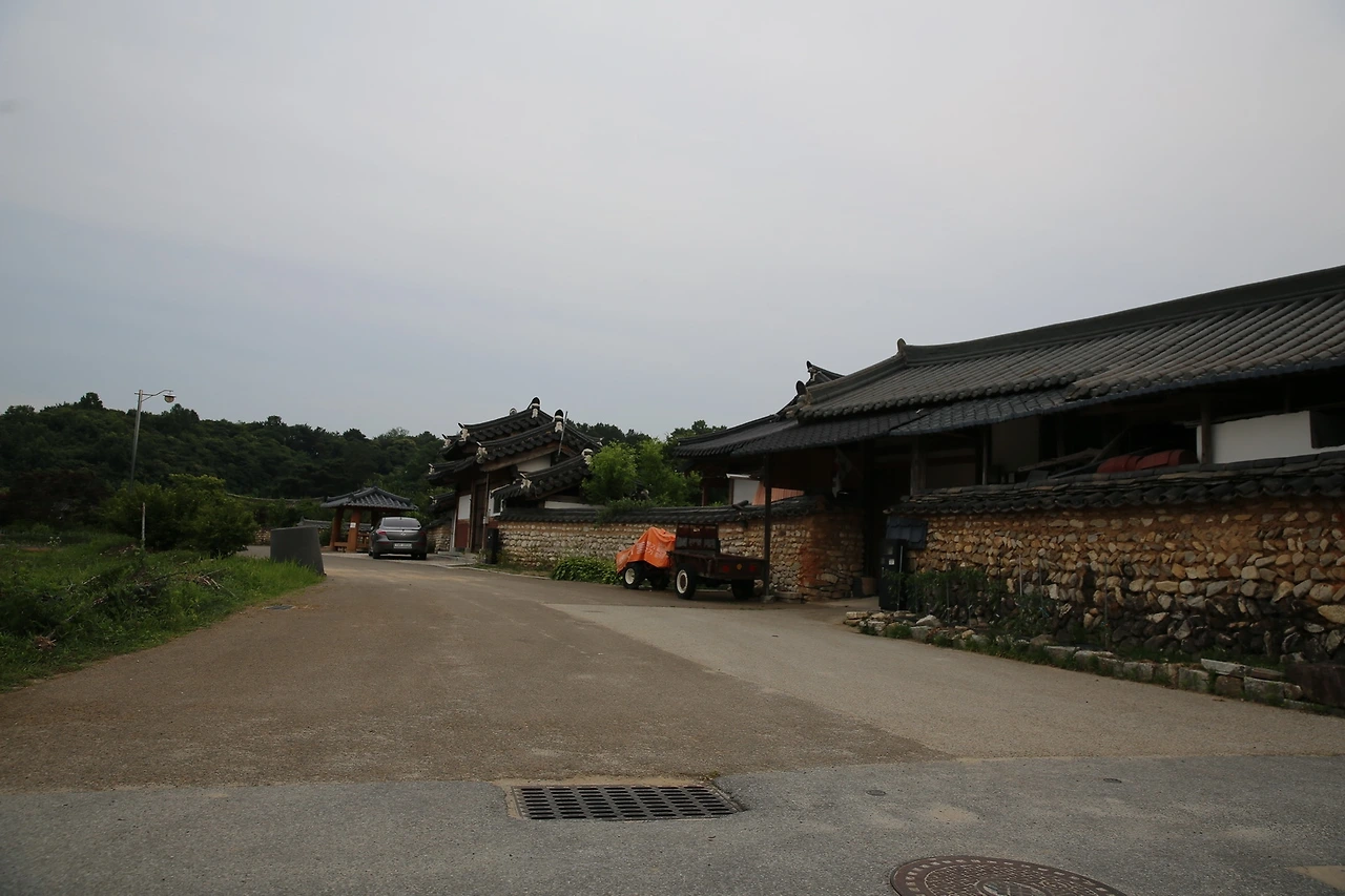 MG0A9881_новый размер.JPG