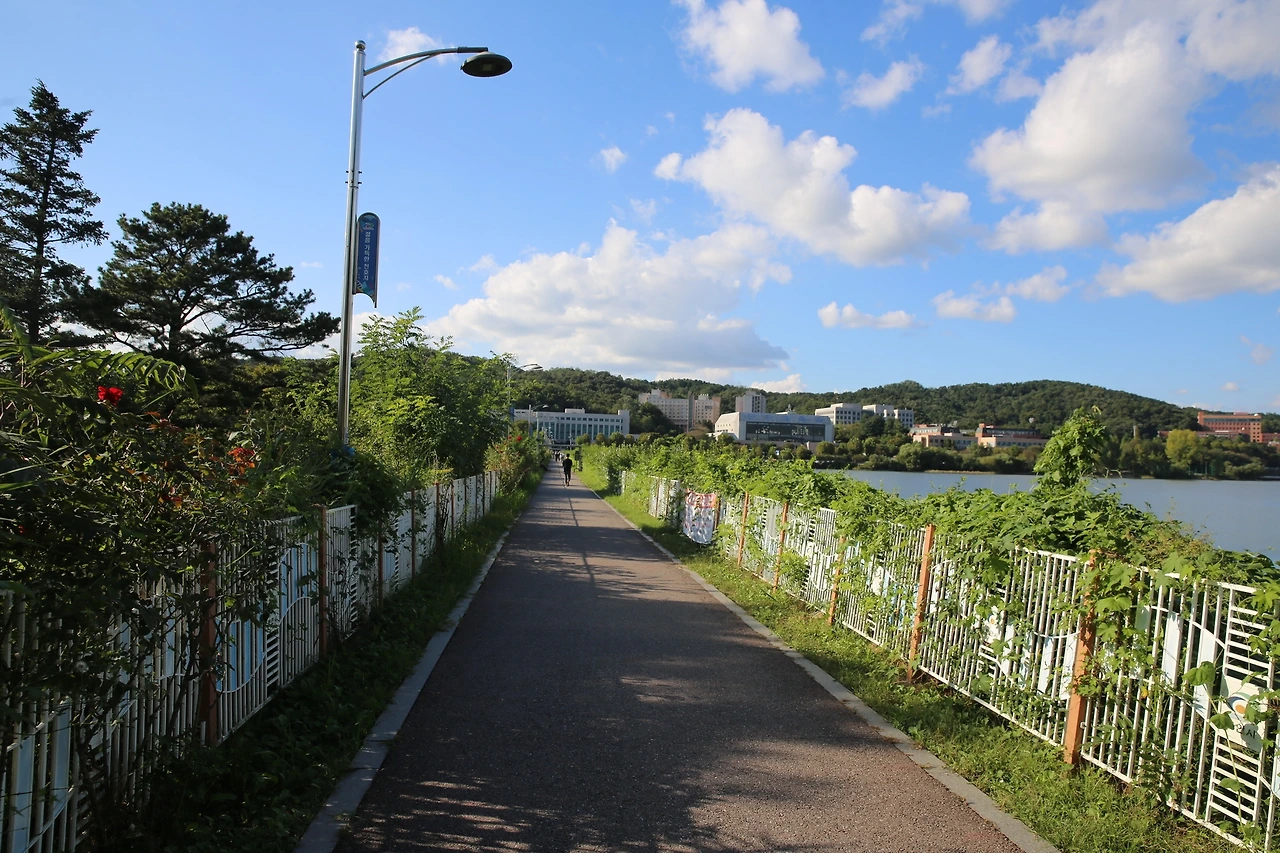 MG0A1980_новый размер.JPG