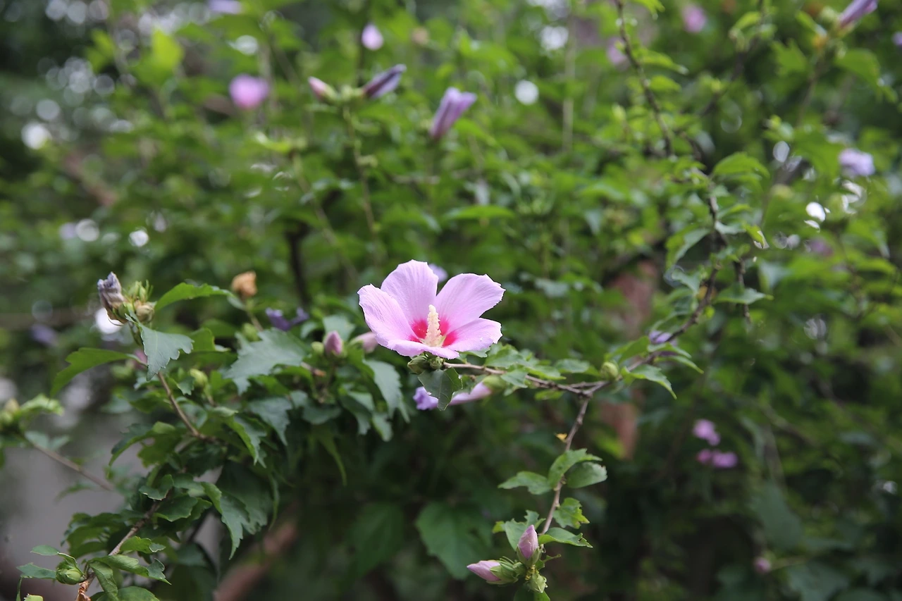 MG0A7842_новый размер.JPG