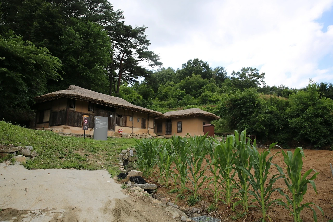 MG0A0453_новый размер.JPG