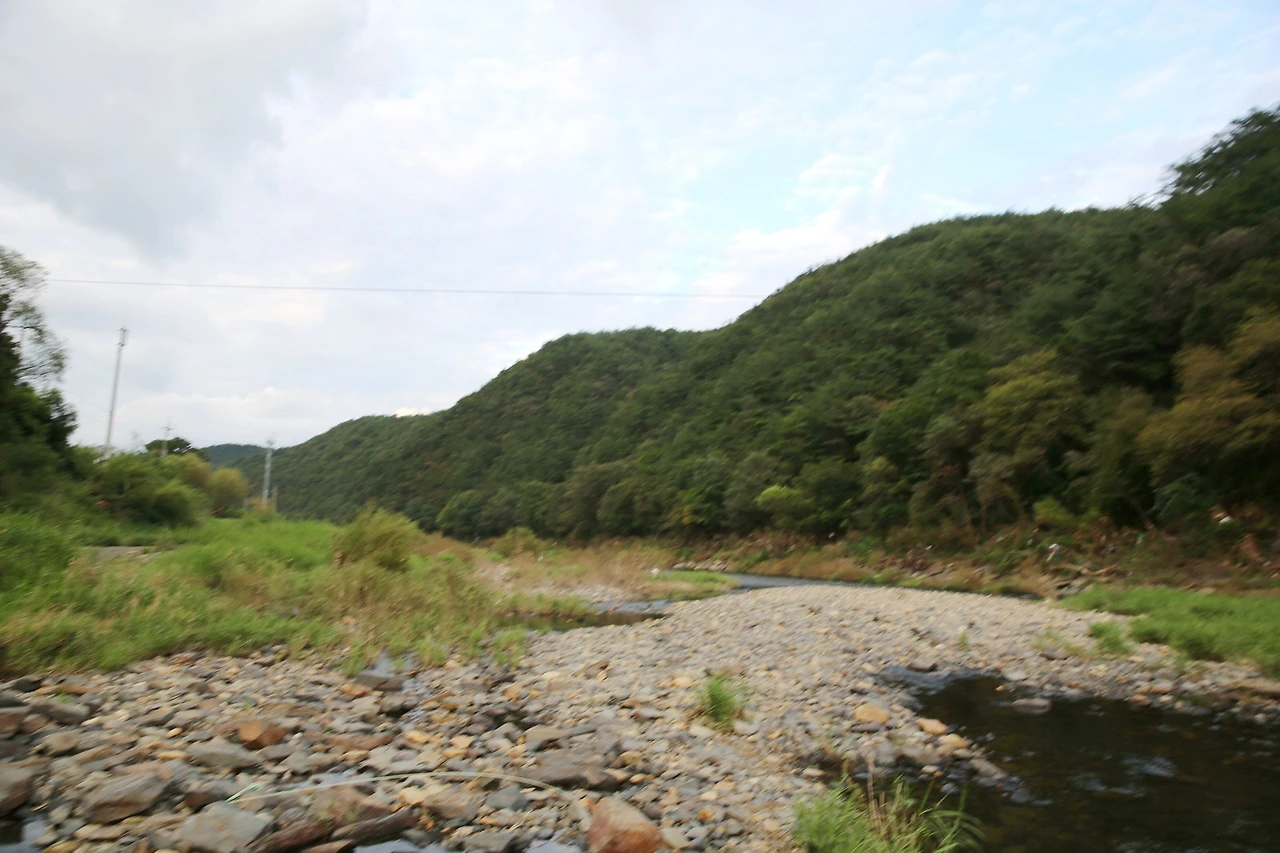 MG0A0601_новый размер_exposure.JPG