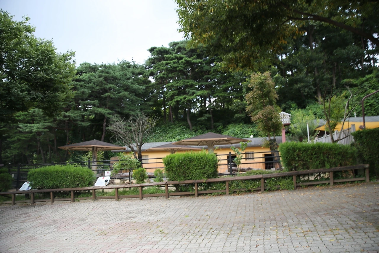 MG0A9604_новый размер.JPG