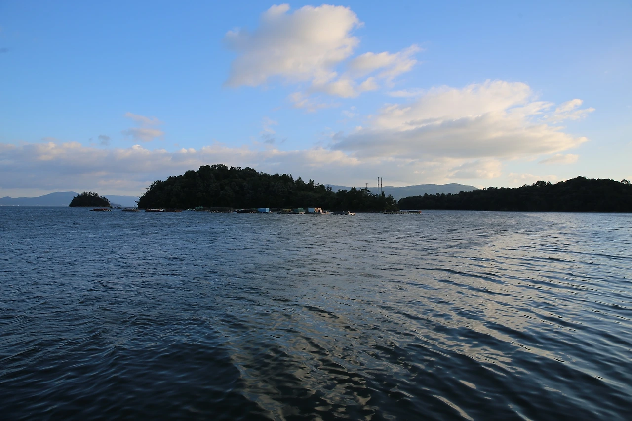 MG0A8846_новый размер.JPG