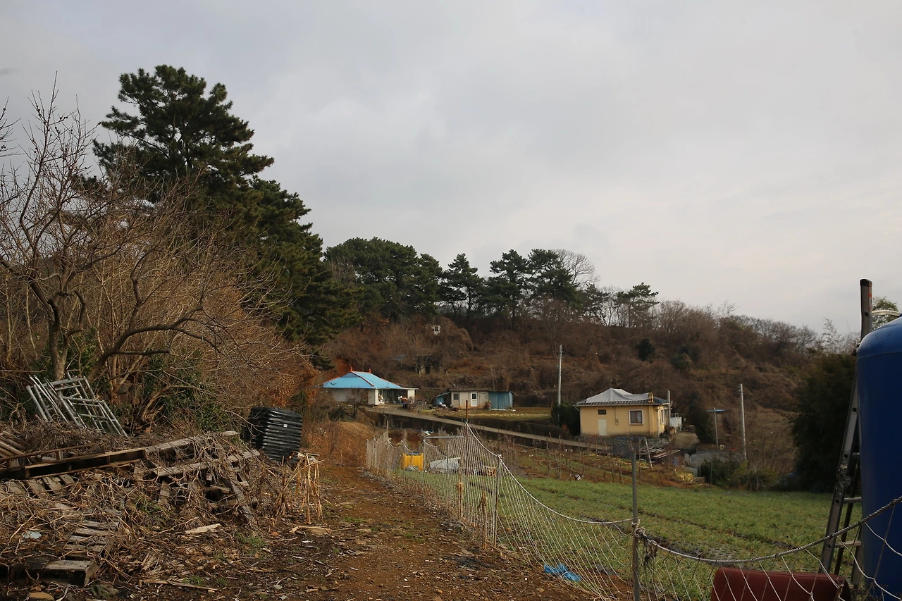 MG0A6836_новый размер.JPG