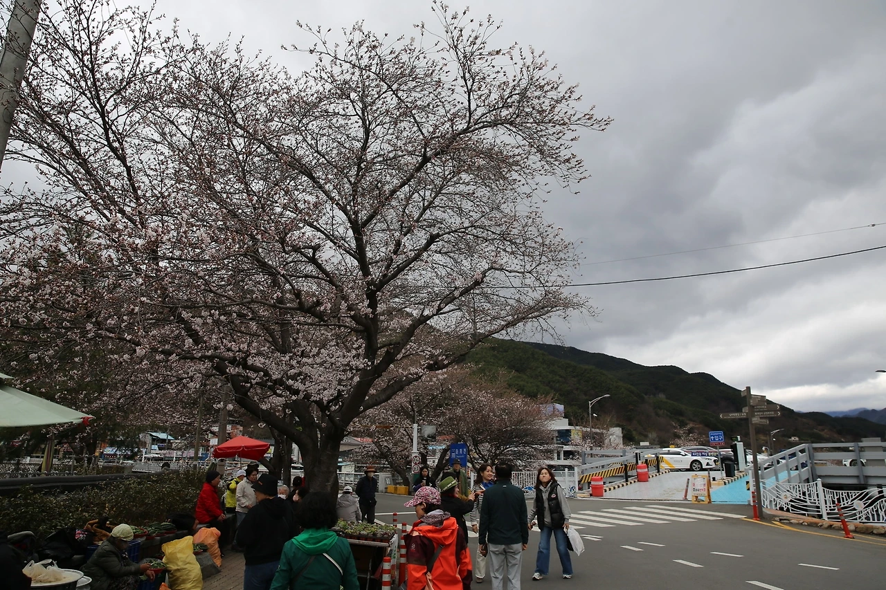 MG0A7194_новый размер.JPG