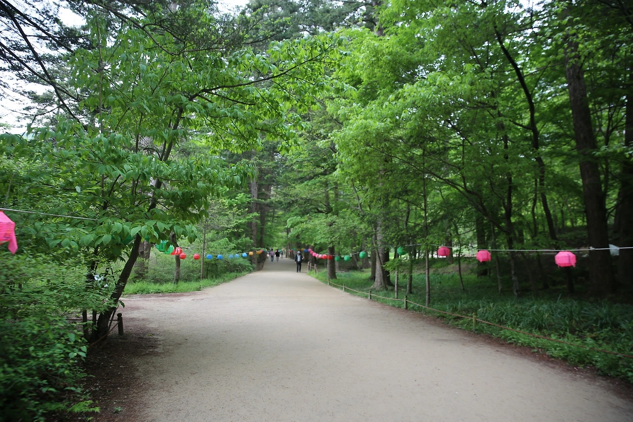 MG0A0577_новый размер.JPG