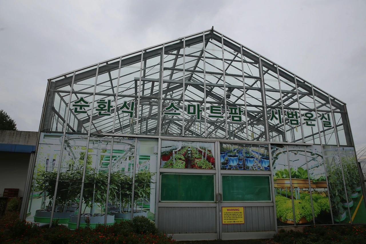 MG0A5036_новый размер.JPG