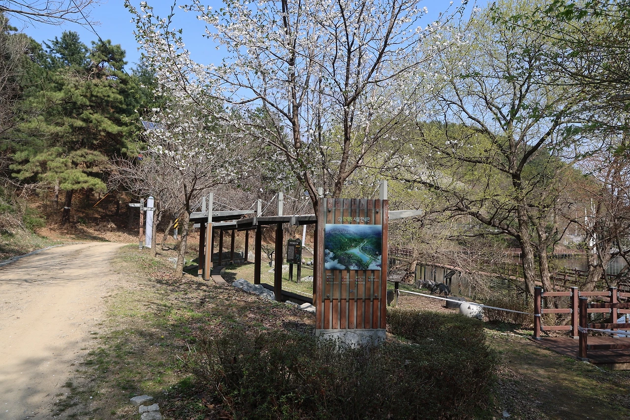 0R5A6469_новый размер.JPG