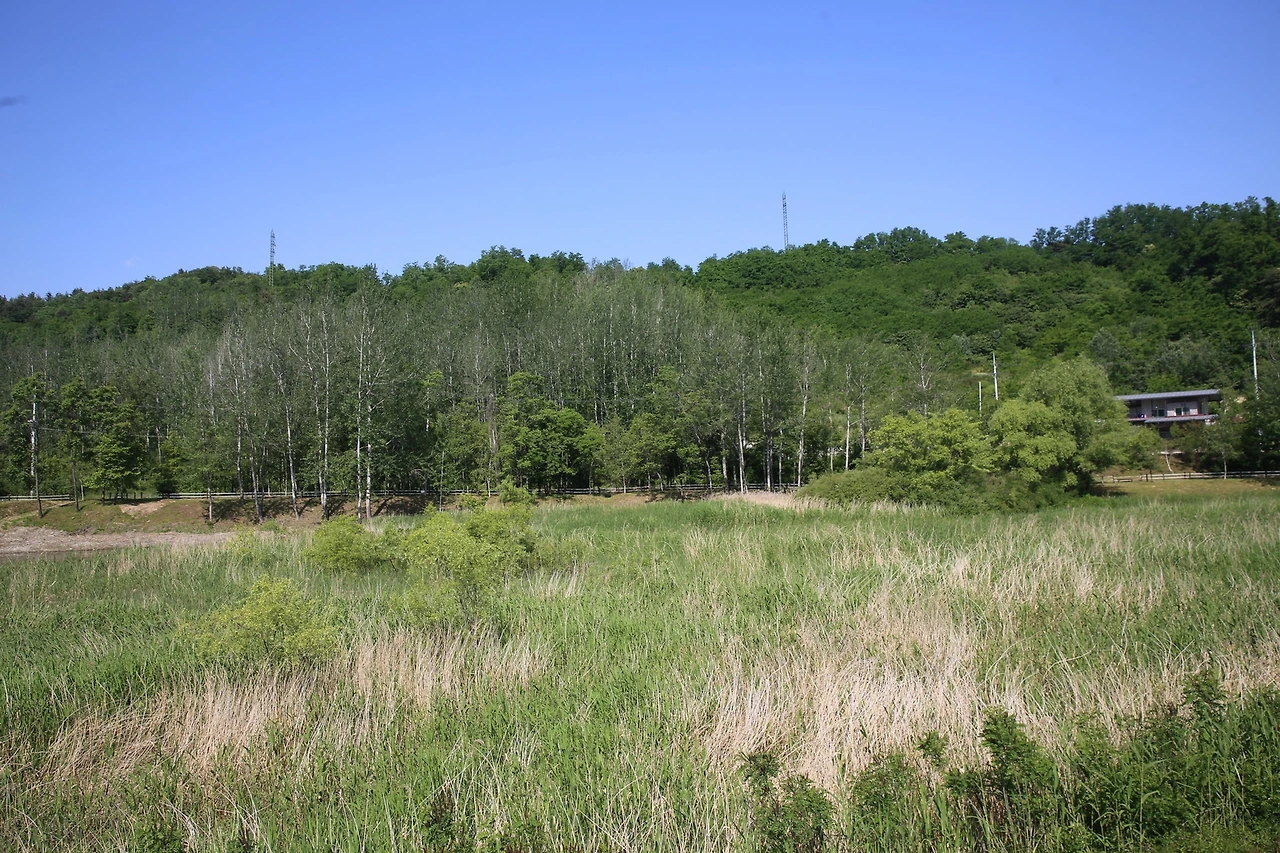 MG0A0057_новый размер.JPG