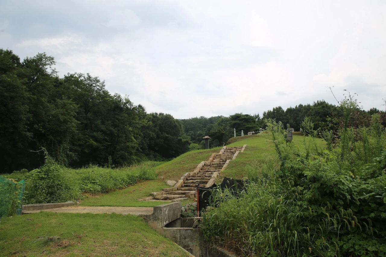 MG0A9648_новый размер.JPG